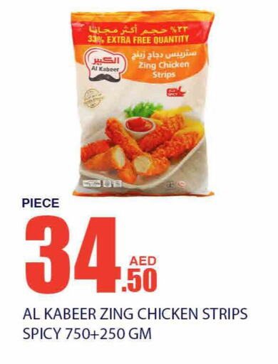 AL KABEER Chicken Strips  in Bismi Wholesale in UAE - Dubai