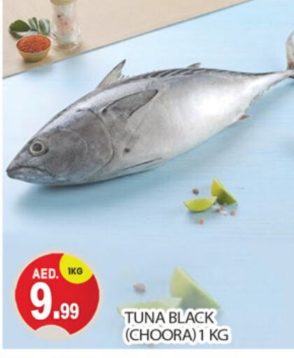  Tuna  in TALAL MARKET in UAE - Dubai