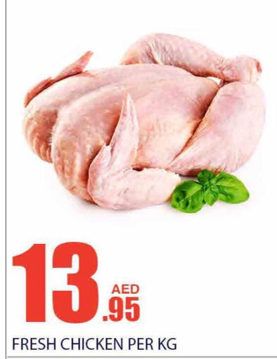  Fresh Whole Chicken  in Bismi Wholesale in UAE - Dubai