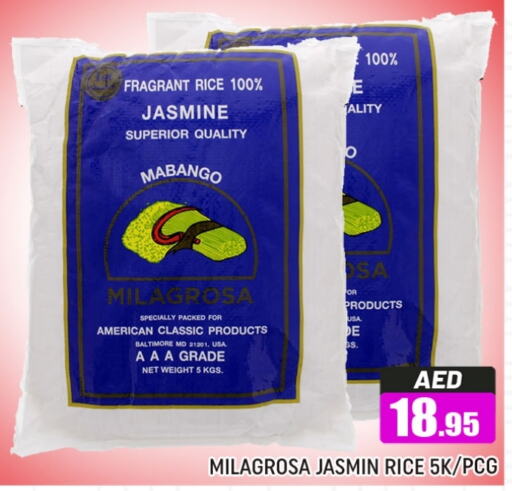 AMERICAN CLASSIC Jasmine Rice  in Al Madina  in UAE - Dubai