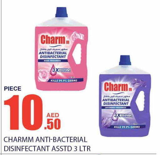  Disinfectant  in Bismi Wholesale in UAE - Dubai