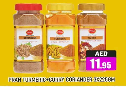 PRAN Spices  in Al Madina  in UAE - Dubai