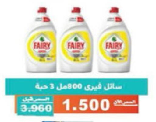 FAIRY   in Al Andalus & Al Reqeie Co.op Society in Kuwait - Kuwait City