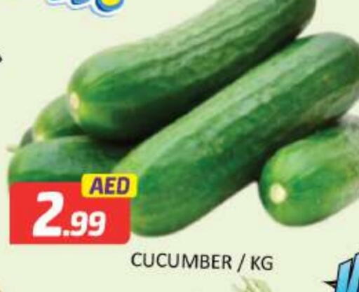  Cucumber  in Mango Hypermarket LLC in UAE - Dubai