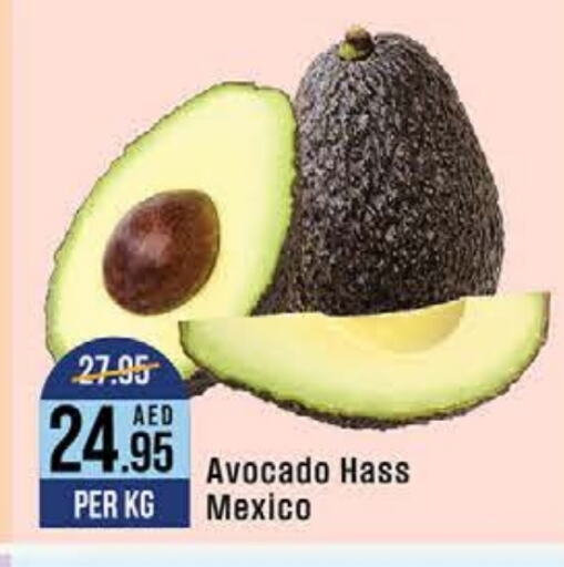  Avacado  in West Zone Supermarket in UAE - Dubai