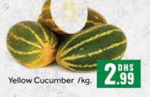  Cucumber  in Mango Hypermarket LLC in UAE - Dubai