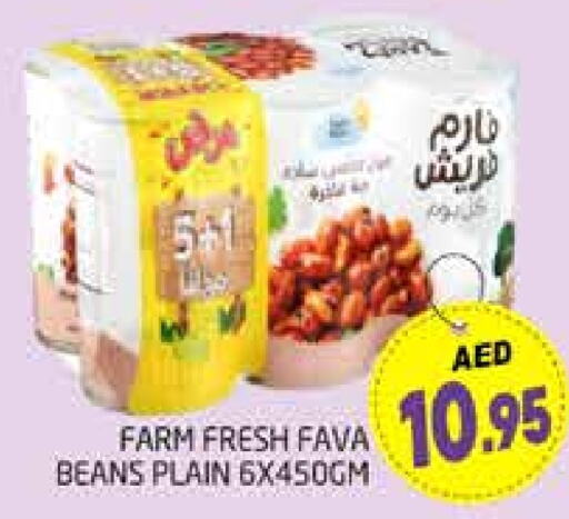  Fava Beans  in PASONS GROUP in UAE - Dubai