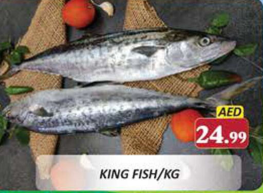  King Fish  in Al Madina  in UAE - Dubai