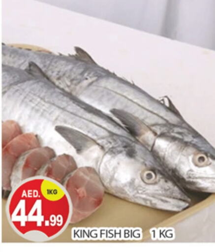  King Fish  in TALAL MARKET in UAE - Dubai