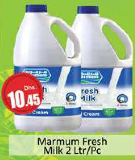 MARMUM Fresh Milk  in Al Madina  in UAE - Dubai