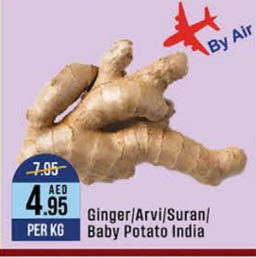  Potato  in West Zone Supermarket in UAE - Dubai