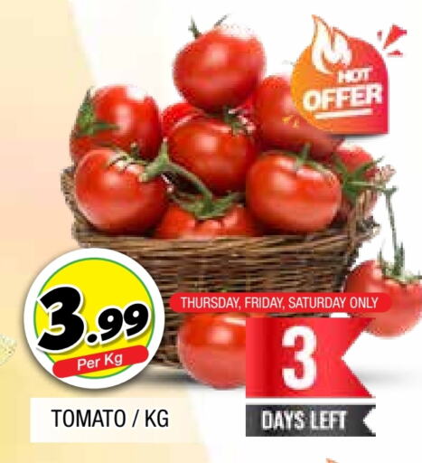  Tomato  in AL MADINA in UAE - Sharjah / Ajman