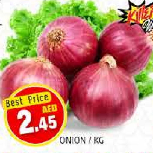  Onion  in PASONS GROUP in UAE - Dubai