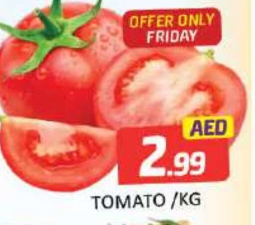  Tomato  in Mango Hypermarket LLC in UAE - Dubai