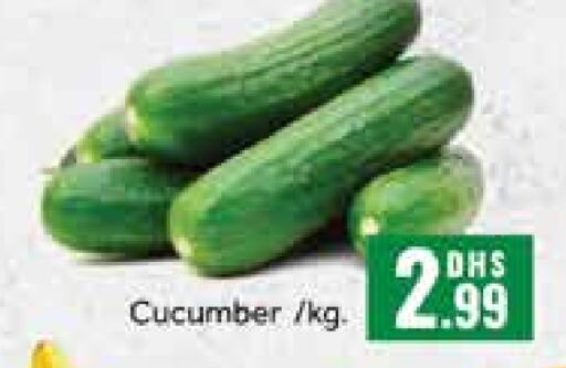  Cucumber  in Mango Hypermarket LLC in UAE - Dubai