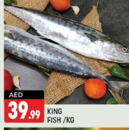  King Fish  in Shaklan  in UAE - Dubai