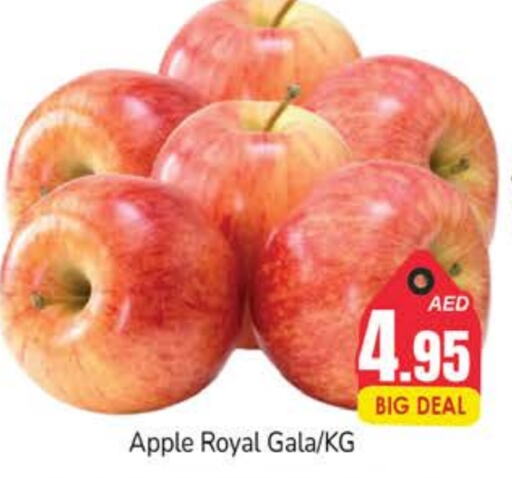  Apples  in PASONS GROUP in UAE - Dubai