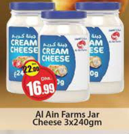 AL AIN Cream Cheese  in Al Madina  in UAE - Dubai