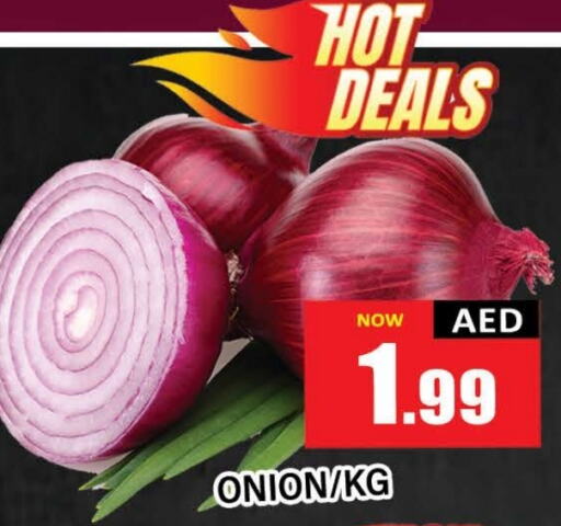  Onion  in AL MADINA (Dubai) in UAE - Dubai