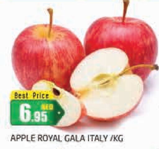  Apples  in PASONS GROUP in UAE - Dubai