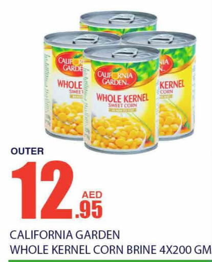 CALIFORNIA GARDEN   in Bismi Wholesale in UAE - Dubai