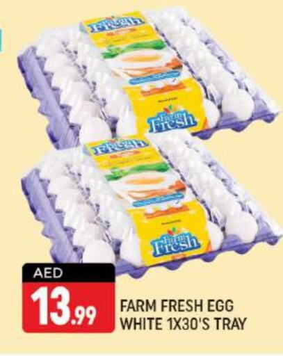 FARM FRESH   in Shaklan  in UAE - Dubai