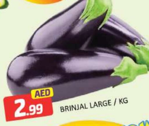    in Mango Hypermarket LLC in UAE - Dubai