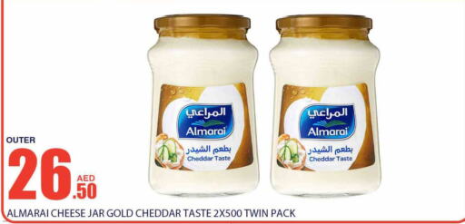 ALMARAI Cheddar Cheese  in Bismi Wholesale in UAE - Dubai