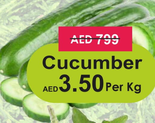 Cucumber