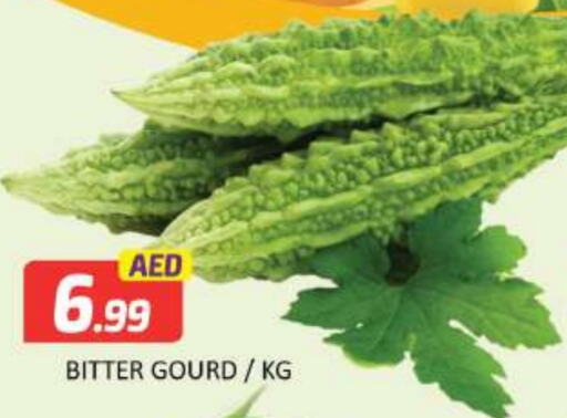  Bitter Gourd  in Mango Hypermarket LLC in UAE - Dubai