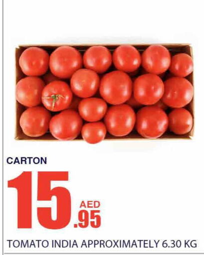  Tomato  in Bismi Wholesale in UAE - Dubai