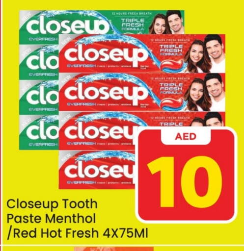 CLOSE UP Toothpaste  in Mark & Save Value Retail in UAE - Dubai