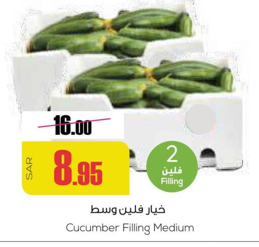 Cucumber