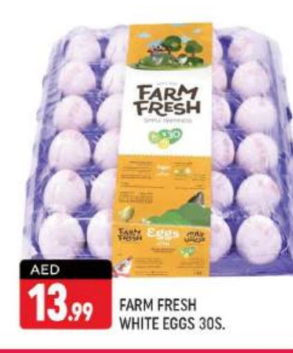 FARM FRESH   in Shaklan  in UAE - Dubai