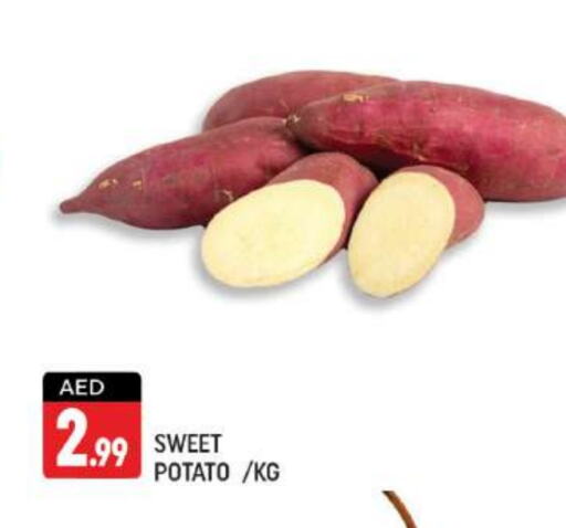  Sweet Potato  in Shaklan  in UAE - Dubai