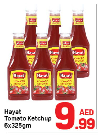 HAYAT Tomato Ketchup  in Day to Day Department Store in UAE - Dubai