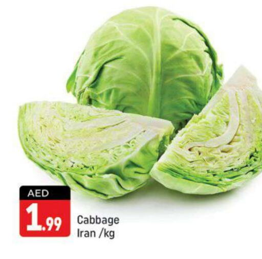  Cabbage  in Shaklan  in UAE - Dubai