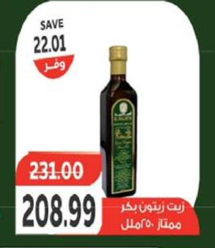  Olive Oil  in The Mart  in Egypt - Cairo