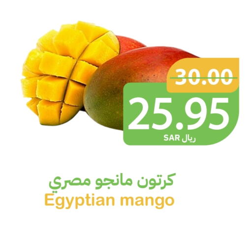  Mangoes  in Qateba Markets in KSA, Saudi Arabia, Saudi - Buraidah