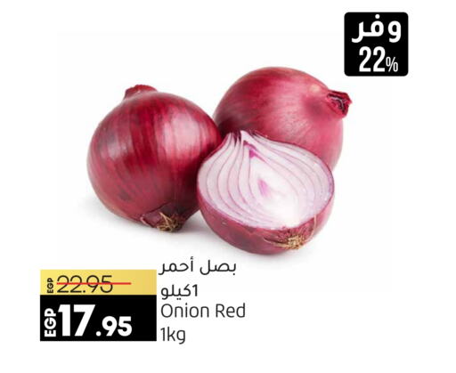  Onion  in Lulu Hypermarket  in Egypt