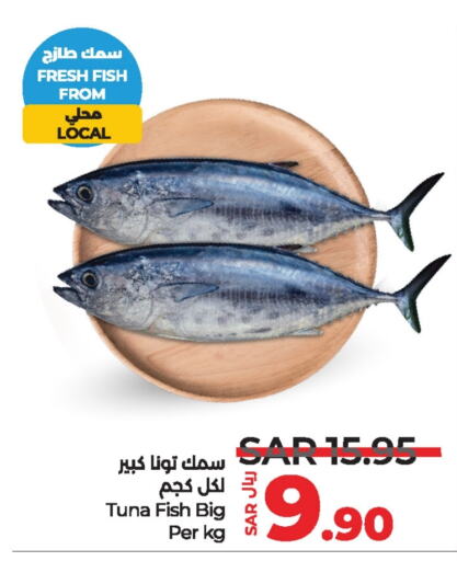  Tuna  in LULU Hypermarket in KSA, Saudi Arabia, Saudi - Jubail