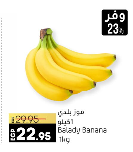  Banana  in Lulu Hypermarket  in Egypt