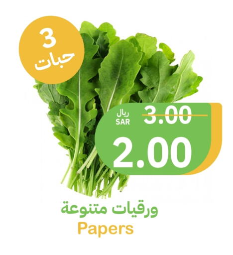    in أسواق قاطبة in مملكة العربية السعودية, السعودية, سعودية - بريدة