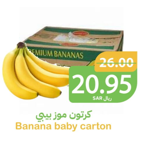  Banana  in Qateba Markets in KSA, Saudi Arabia, Saudi - Buraidah