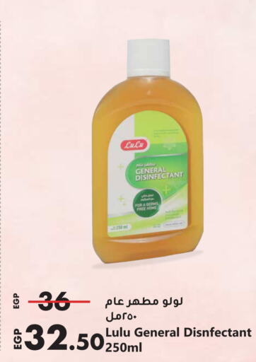  Disinfectant  in Lulu Hypermarket  in Egypt