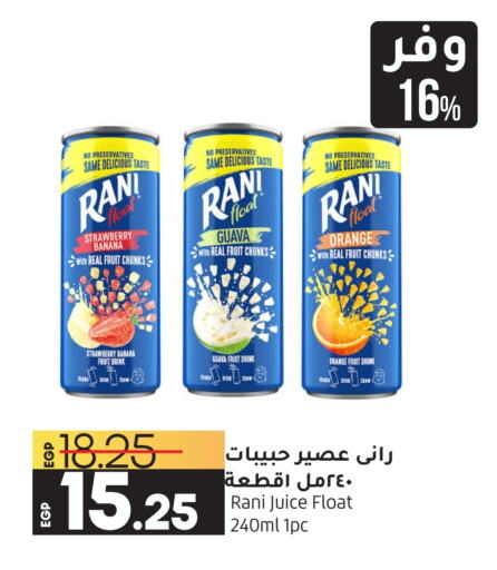 RANI   in Lulu Hypermarket  in Egypt - Cairo