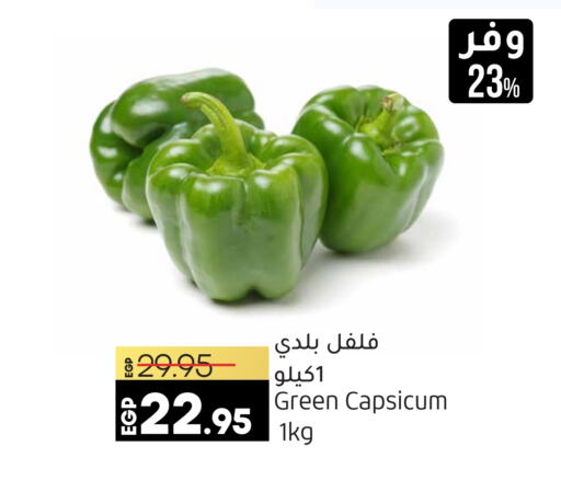  Chilli / Capsicum  in Lulu Hypermarket  in Egypt - Cairo