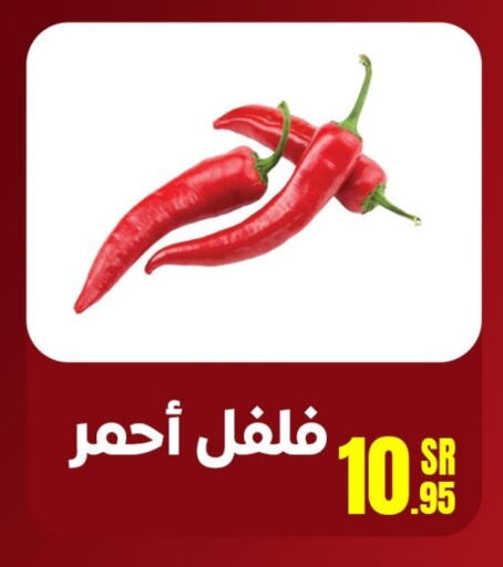  Chilli / Capsicum  in Sanam Supermarket in KSA, Saudi Arabia, Saudi - Mecca