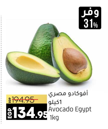  Avacado  in Lulu Hypermarket  in Egypt - Cairo