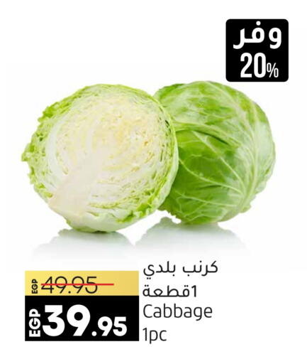  Cabbage  in Lulu Hypermarket  in Egypt